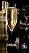 Напитки, Собаки, Животные для Sony Ericsson K530