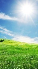 Небо, Пейзаж, Солнце, Трава для Samsung Galaxy A20