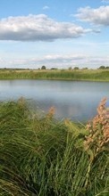 Небо, Пейзаж, Трава, Вода для Samsung Galaxy 551