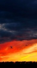 Облака,Пейзаж,Закат для OnePlus 8T
