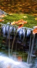 Осень,Пейзаж,Река для Samsung S5233