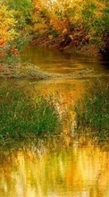 Осень, Пейзаж, Река, Трава для Samsung Galaxy J1