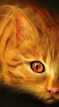 Кошки (Коты, Котики),Рисунки,Животные для HTC One M8s