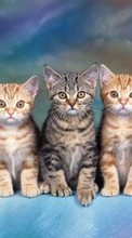 Кошки (Коты, Котики),Животные для Huawei Honor 7 Premium