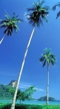 Пальмы,Пейзаж для Samsung Galaxy On5
