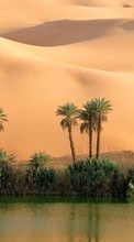 Пальмы, Пейзаж, Песок, Пустыня для Samsung Galaxy Mini S5570