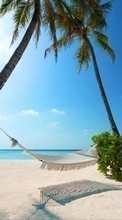 Пальмы,Пейзаж,Пляж для HTC Touch Viva