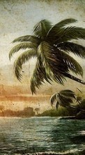 Пальмы,Пейзаж,Пляж,Рисунки для Sony Xperia M4 Aqua