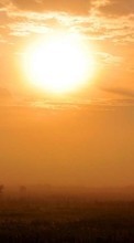 Пейзаж,Поля,Солнце для LG L70 D325