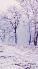Пейзаж,Природа,Зима для Huawei Ascend Y330