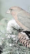 Пейзаж,Птицы,Снег,Животные для LG Optimus Sol E730