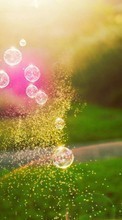 Пейзаж, Пузыри, Солнце, Трава для Samsung Galaxy Note 5