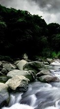 Пейзаж,Река для Samsung Galaxy Y