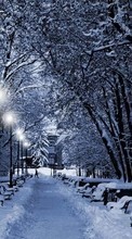 Пейзаж, Снег, Зима для LG KP501 Cookie