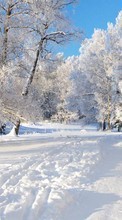 Пейзаж, Снег, Зима для Samsung Galaxy Young
