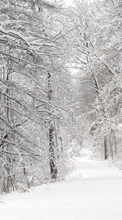 Пейзаж,Зима для Samsung Ch@t 335