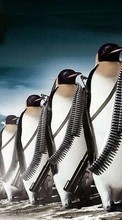 Новые обои на телефон скачать бесплатно: Пингвины,Рисунки,Животные.
