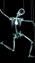 Скелеты, Юмор для Sony Xperia Z5 Premium