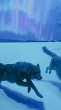 Волки,Животные для LG Spirit