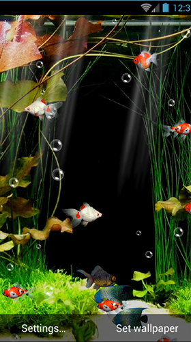 Скачать бесплатно живые обои Aquarium by minatodev на Андроид телефоны и планшеты.