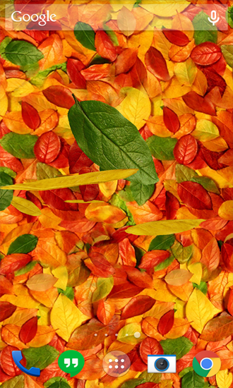 Скачать бесплатно живые обои Autumn Leaves на Андроид телефоны и планшеты.