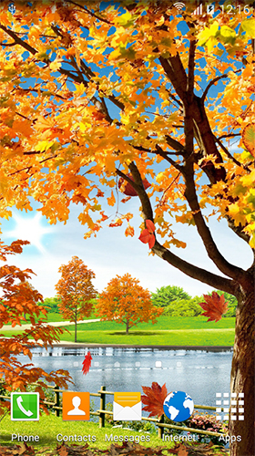 Скачать бесплатно живые обои Autumn pond на Андроид телефоны и планшеты.