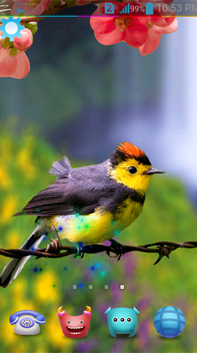 Скачать бесплатные живые обои Животные для Андроид на рабочий стол планшета: Birds 3D by AppQueen Inc..