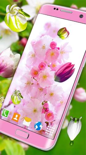 Скачать бесплатные живые обои Цветы для Андроид на рабочий стол планшета: Blossoms 3D.
