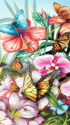 Скачать бесплатные живые обои Животные для Андроид на рабочий стол планшета: Butterflies by Happy live wallpapers.
