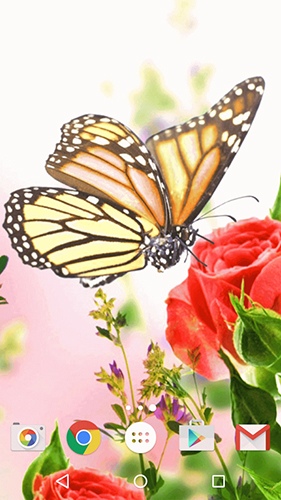 Скачать бесплатные живые обои Цветы для Андроид на рабочий стол планшета: Butterfly by Fun Live Wallpapers.