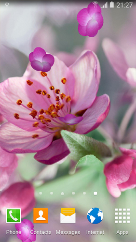 Скачать бесплатные живые обои Растения для Андроид на рабочий стол планшета: Cherry Blossom.