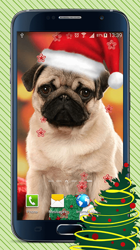 Скачать бесплатные живые обои Праздники для Андроид на рабочий стол планшета: Christmas dogs.