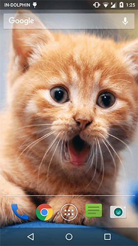 Скачать бесплатные живые обои Интерактивные для Андроид на рабочий стол планшета: Cute cat by Psii.