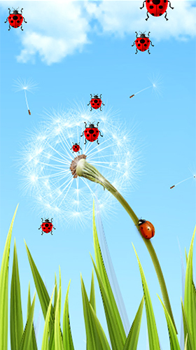 Скачать бесплатные живые обои Растения для Андроид на рабочий стол планшета: Dandelion by Latest Live Wallpapers.