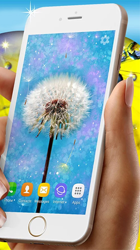 Скачать бесплатные живые обои Цветы для Андроид на рабочий стол планшета: Dandelions.