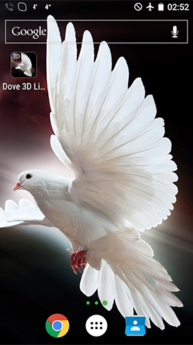 Скачать бесплатные живые обои 3D для Андроид на рабочий стол планшета: Dove 3D.