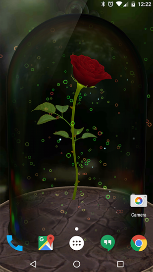 Скачать бесплатные живые обои Растения для Андроид на рабочий стол планшета: Enchanted Rose.