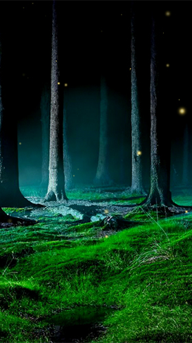 Скачать бесплатные живые обои Пейзаж для Андроид на рабочий стол планшета: Fireflies by Wallpapers and Backgrounds Live.