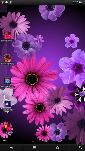 Скачать бесплатные живые обои Интерактивные для Андроид на рабочий стол планшета: Flowers by PanSoft.