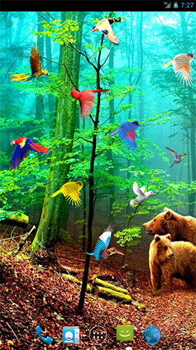 Скачать бесплатные живые обои Интерактивные для Андроид на рабочий стол планшета: Forest birds.