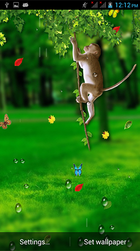 Скачать бесплатные живые обои Животные для Андроид на рабочий стол планшета: Funny monkey by Galaxy Launcher.