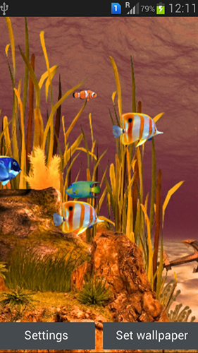 Скачать бесплатно живые обои Galaxy aquarium на Андроид телефоны и планшеты.