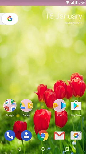 Скачать бесплатные живые обои Цветы для Андроид на рабочий стол планшета: Garden HD by Play200.