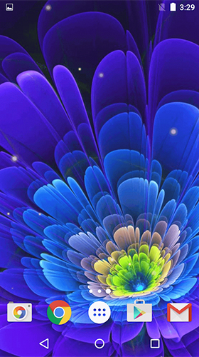 0 glowing flowers by free wallpapers and backgrounds09