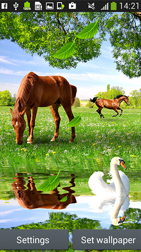 Скачать бесплатные живые обои Животные для Андроид на рабочий стол планшета: Horses by Latest Live Wallpapers.
