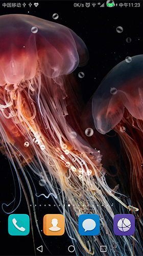 0 jellyfish by live wallpaper hongkong04