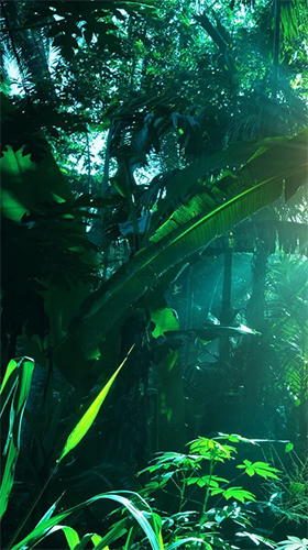 Скачать бесплатные живые обои Пейзаж для Андроид на рабочий стол планшета: Jungle by Pro Live Wallpapers.