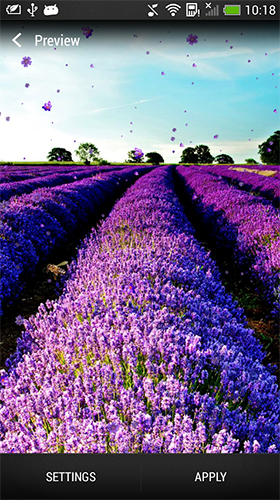 Скачать бесплатные живые обои Цветы для Андроид на рабочий стол планшета: Lavender.