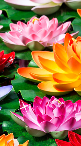 Скачать бесплатные живые обои Цветы для Андроид на рабочий стол планшета: Lotus by Latest Live Wallpapers.