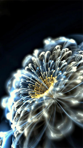 Скачать бесплатные живые обои Цветы для Андроид на рабочий стол планшета: Luminous flowers.